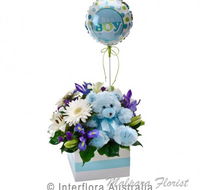 Malpara Florist - Suburb Australia
