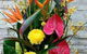 Blossoms Of Tweed Banora - thumb 0