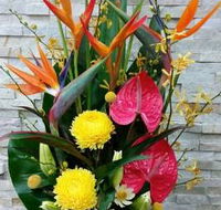 Blossoms of Tweed Banora - Suburb Australia