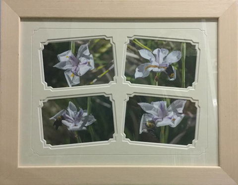 Brotish Picture Framing - Suburb Australia 2