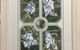 Brotish Picture Framing - thumb 3