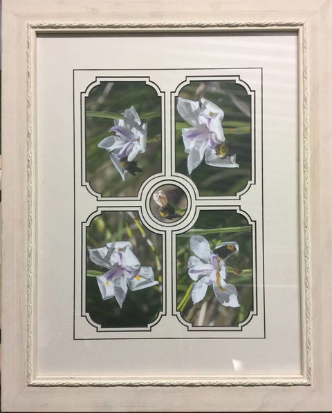 Brotish Picture Framing - Suburb Australia 3