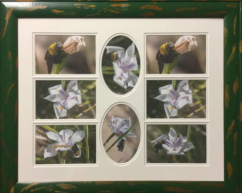 Brotish Picture Framing - Suburb Australia 4
