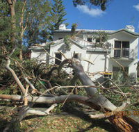 Almighty Trees  Demolition - Suburb Australia