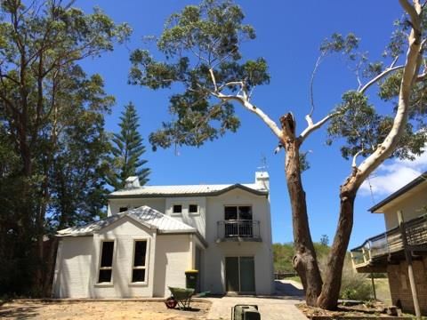 Almighty Trees & Demolition - Suburb Australia 1
