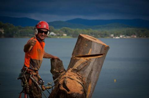 Almighty Trees & Demolition - Suburb Australia 4