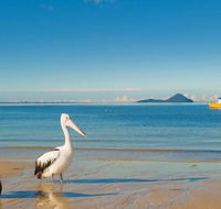 L J Hooker Nelson Bay - Suburb Australia