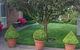 Bowral Mowers - thumb 3