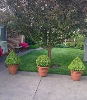 Bowral Mowers - Suburb Australia 3