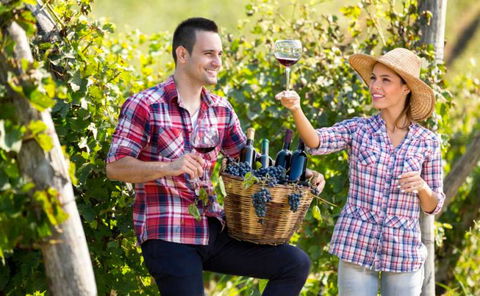 Two Tails Wines - Suburb Australia 0
