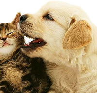 One Stop Pet Supplies - Suburb Australia