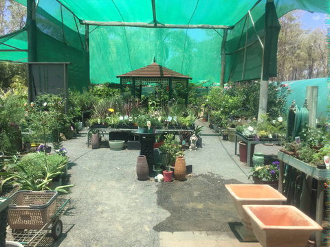 Gum Tree Gardens - Suburb Australia 4