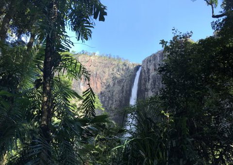 Hinchinbrook Hiking- Scenic Tours - Suburb Australia 1