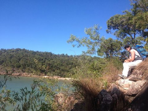 Hinchinbrook Hiking- Scenic Tours - Suburb Australia 2