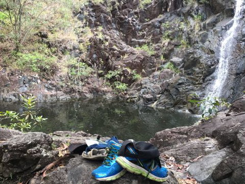 Hinchinbrook Hiking- Scenic Tours - Suburb Australia 4