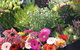 Grafton Florist - thumb 0
