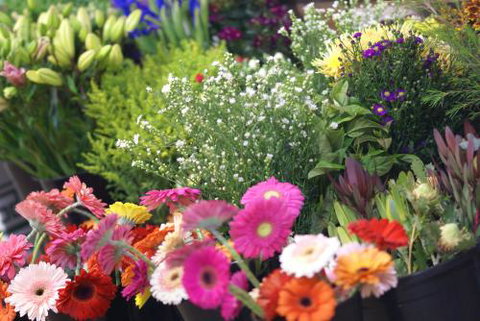 Grafton Florist - Suburb Australia 0