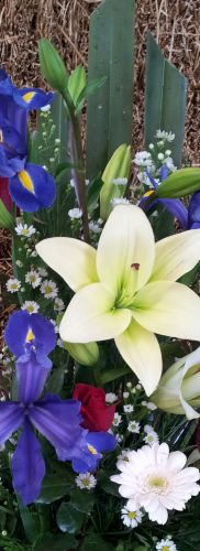 Grafton Florist - Suburb Australia 1