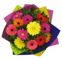 Lismore Florist - Suburb Australia