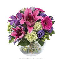 Boydita Flowers Delivered - Suburb Australia