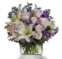 Kincumber Flower Fantasy - Suburb Australia