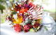 Bloomz On Central - thumb 0