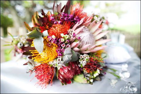 Bloomz On Central - Suburb Australia 0