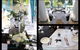 Divine Decor Whitsundays - thumb 3