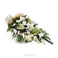 Primavera Flowers - Suburb Australia 0