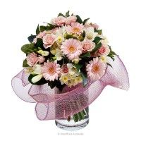 Primavera Flowers - Suburb Australia 3