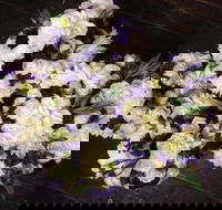  Sea Rose Florist - Suburb Australia