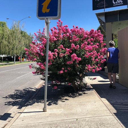 Alpine Gate Cafe - Suburb Australia 0