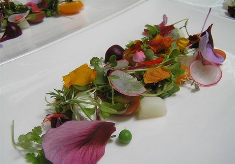 Bluebush Cafe - Suburb Australia 13