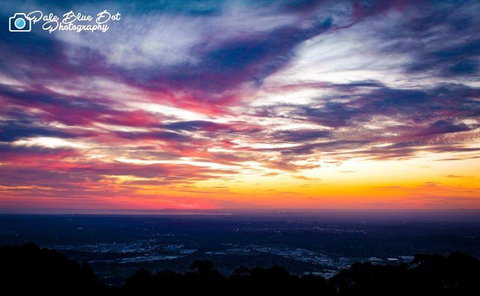 Bluebush Cafe - Suburb Australia 29