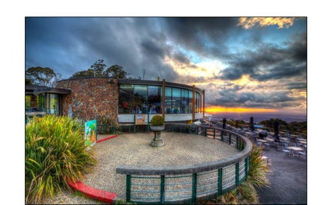Bluebush Cafe - Suburb Australia 32