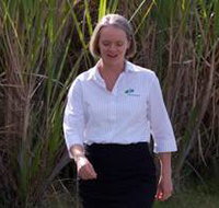 AB Accounting Maclean - Suburb Australia