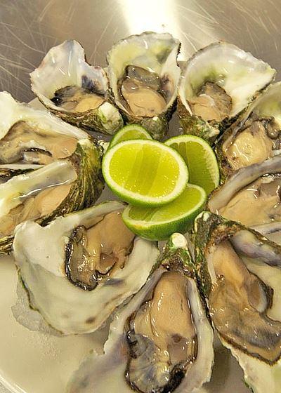 Wild Harvest Restaurant King Island - Suburb Australia 6