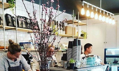 Blackbird & Co - Suburb Australia 18