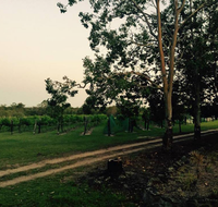 Brierley Wines - Suburb Australia