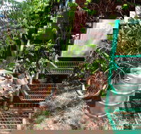 Larrimah Pink Panther Hotel - Suburb Australia