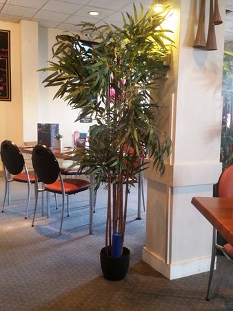 Westbury Hotel - Suburb Australia 0