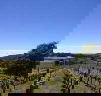 Barringwood Vineyard and Cellar Door Restaurant - Suburb Australia