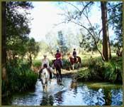 Bellrowan Valley Horse Riding - Suburb Australia 1
