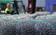Steve Moore Fencing Pty Ltd - thumb 3
