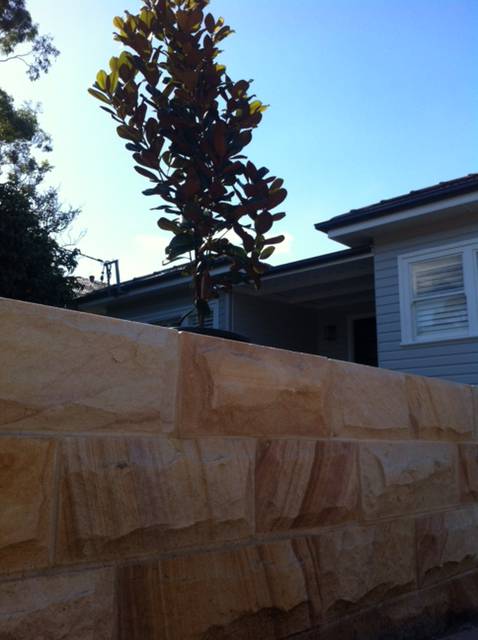 Landscape Australia NSW - Suburb Australia 3