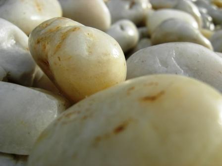 Beveridge Building Products - Suburb Australia 1