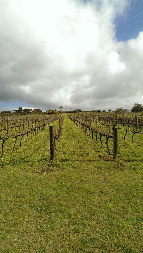 Burnt Barrel Outback Brewbq - Suburb Australia 1