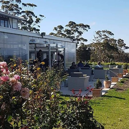 Castelli Vineyards - Suburb Australia 0