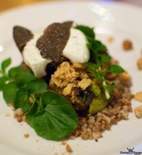 Foragers