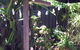 Little Olive Leaf Cafe - thumb 1